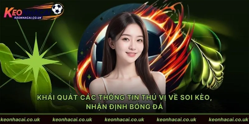 Khái quát các thông tin thú vị về soi kèo, nhận định bóng đá